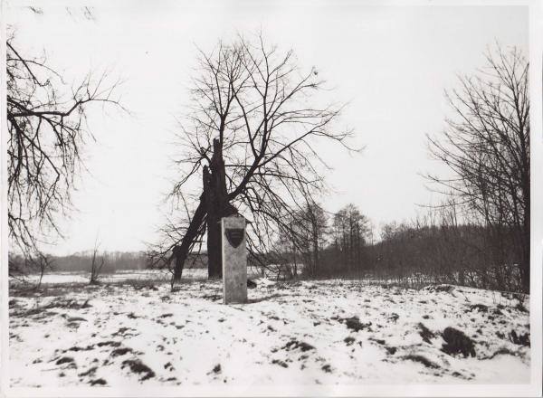 Vizorių pilkapis. Vido Dulkės nuotrauka